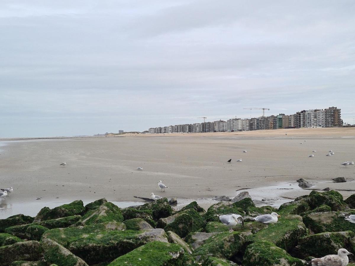 Residence Jersey Koksijde Luaran gambar
